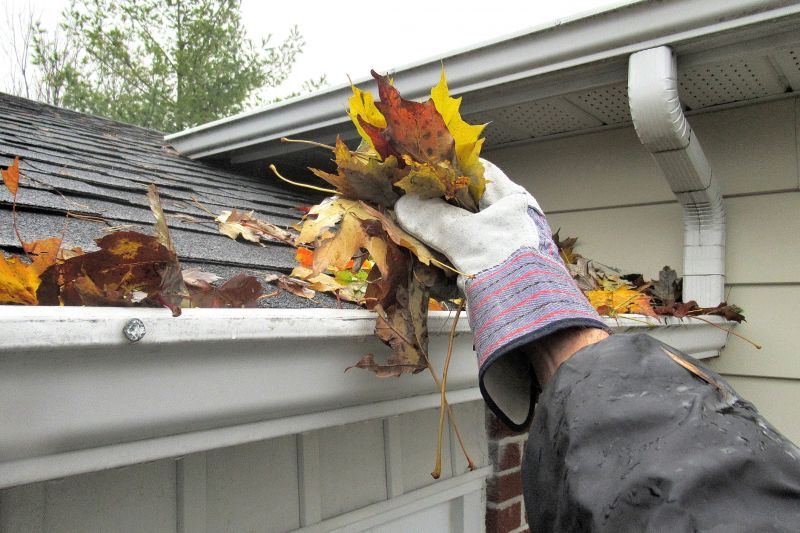 Seasonal Gutter Checks